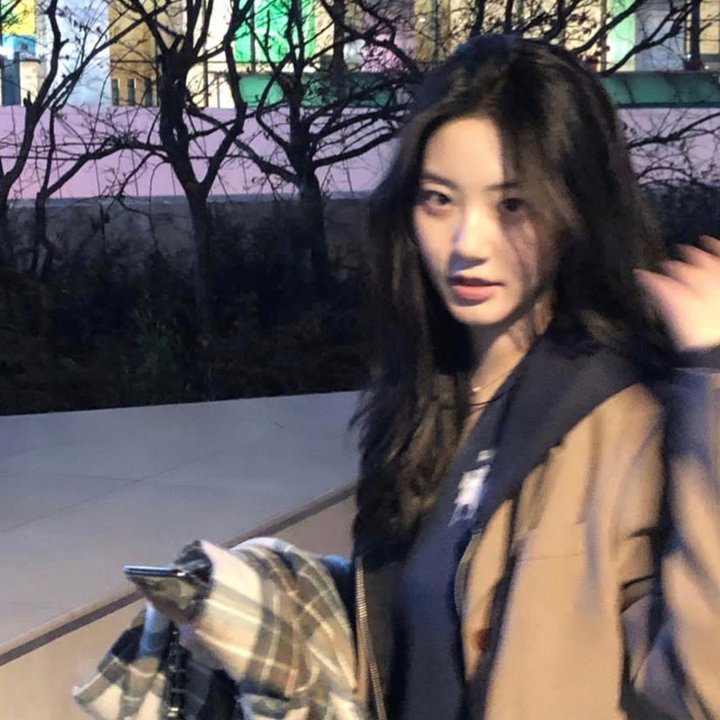 夜鹰 在线观看